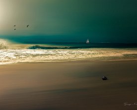 Coconut_Beach_