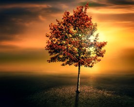 Solitaire-Tree