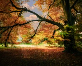 Vivid-Tree-Art